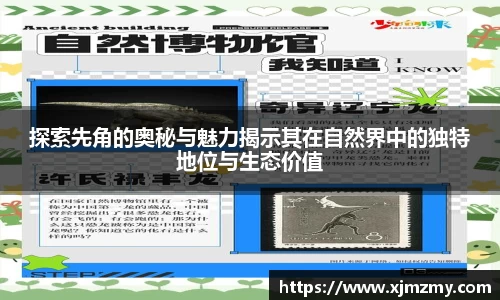 探索先角的奥秘与魅力揭示其在自然界中的独特地位与生态价值
